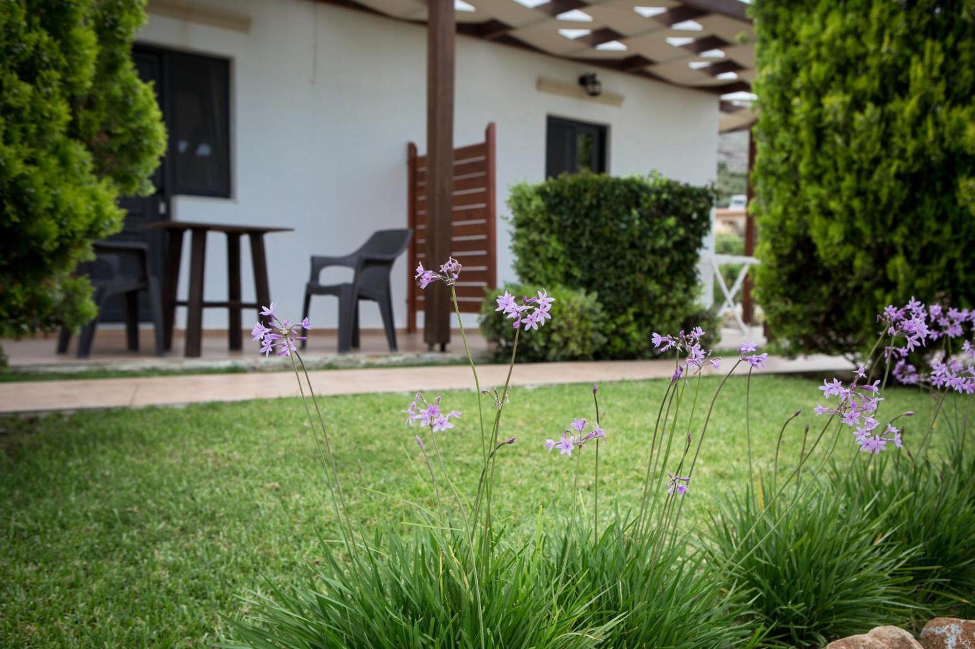 Agarathos Traditional Rooms With Pool Kalivianí Exterior foto